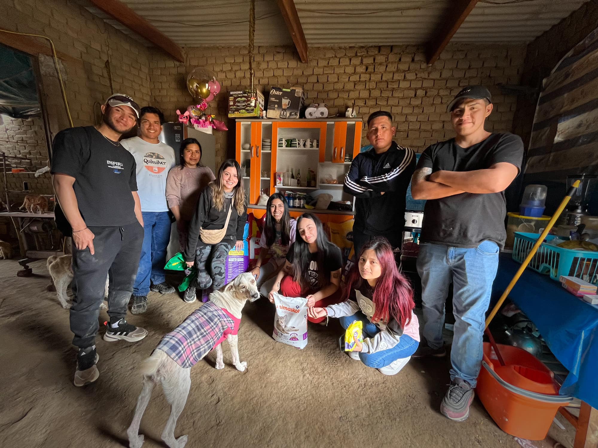 Hogar temporal para perritos rescatados